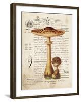 Mushroom I-Gwendolyn Babbitt-Framed Art Print