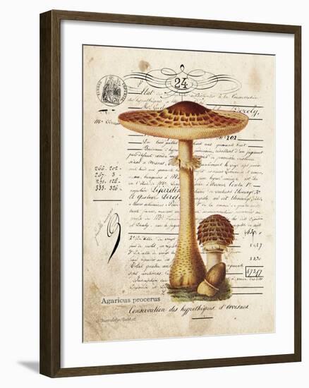 Mushroom I-Gwendolyn Babbitt-Framed Art Print
