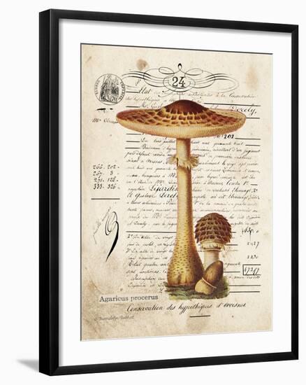 Mushroom I-Gwendolyn Babbitt-Framed Art Print