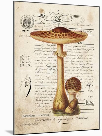 Mushroom I-Gwendolyn Babbitt-Mounted Art Print