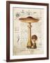 Mushroom I-Gwendolyn Babbitt-Framed Art Print