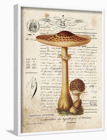 Mushroom I-Gwendolyn Babbitt-Framed Art Print