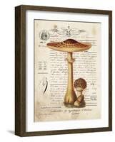 Mushroom I-Gwendolyn Babbitt-Framed Art Print