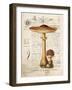 Mushroom I-Gwendolyn Babbitt-Framed Art Print