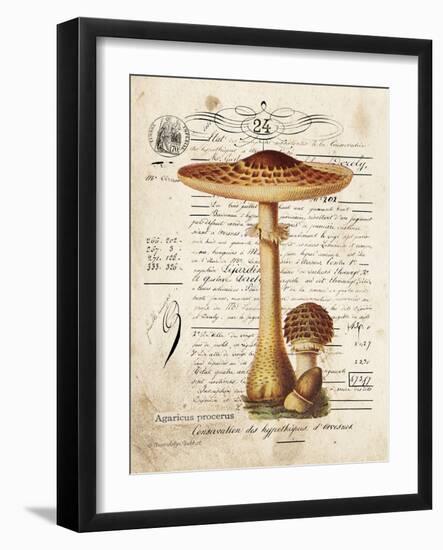 Mushroom I-Gwendolyn Babbitt-Framed Art Print