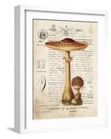 Mushroom I-Gwendolyn Babbitt-Framed Art Print