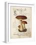 Mushroom II-Gwendolyn Babbitt-Framed Art Print