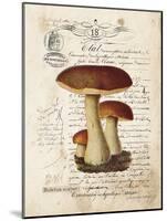 Mushroom II-Gwendolyn Babbitt-Mounted Art Print