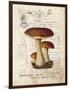 Mushroom II-Gwendolyn Babbitt-Framed Art Print