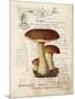 Mushroom II-Gwendolyn Babbitt-Mounted Art Print