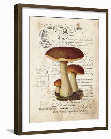 Mushroom II-Gwendolyn Babbitt-Framed Art Print