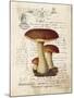 Mushroom II-Gwendolyn Babbitt-Mounted Art Print