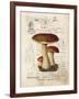 Mushroom II-Gwendolyn Babbitt-Framed Art Print