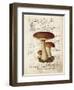 Mushroom II-Gwendolyn Babbitt-Framed Art Print