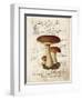 Mushroom II-Gwendolyn Babbitt-Framed Art Print