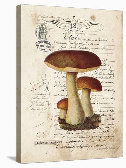 Mushroom II-Gwendolyn Babbitt-Stretched Canvas
