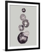 Mushroom Light Grey-Pernille Folcarelli-Framed Art Print