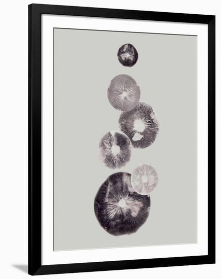 Mushroom Light Grey-Pernille Folcarelli-Framed Art Print