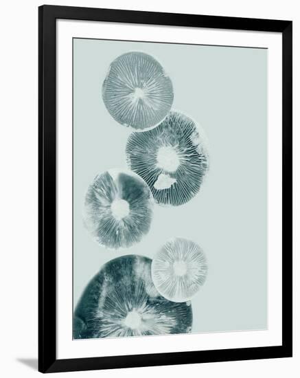 Mushroom Light Teal-Pernille Folcarelli-Framed Art Print