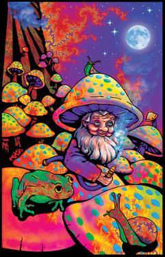 Mushroom Man Blacklight Poster Mushroom Man Blacklight Poster