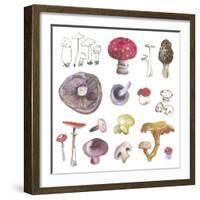 Mushroom Medley-Sandra Jacobs-Framed Giclee Print