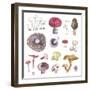 Mushroom Medley-Sandra Jacobs-Framed Giclee Print