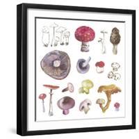 Mushroom Medley-Sandra Jacobs-Framed Giclee Print