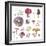 Mushroom Medley-Sandra Jacobs-Framed Giclee Print