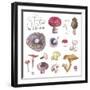 Mushroom Medley-Sandra Jacobs-Framed Giclee Print