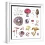 Mushroom Medley-Sandra Jacobs-Framed Giclee Print