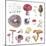 Mushroom Medley-Sandra Jacobs-Mounted Giclee Print