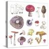 Mushroom Medley-Sandra Jacobs-Stretched Canvas