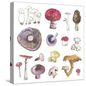 Mushroom Medley-Sandra Jacobs-Stretched Canvas