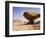 Mushroom shaped rock formation in Wadi Rum National Park-O. and E. Alamany and Vicens-Framed Photographic Print