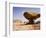 Mushroom shaped rock formation in Wadi Rum National Park-O. and E. Alamany and Vicens-Framed Photographic Print