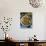Mushroom Soup (Boletus Edulis), Italy, Europe-Nico Tondini-Photographic Print displayed on a wall