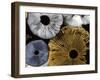 Mushroom Spores Close-Up-null-Framed Photographic Print