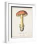 Mushroom Study IV-Wild Apple Portfolio-Framed Art Print