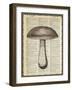 Mushroom-Erin Clark-Framed Giclee Print