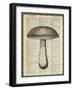 Mushroom-Erin Clark-Framed Giclee Print
