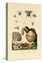 Mushrooms, 1833-39-null-Stretched Canvas