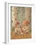 Mushrooms, 2005-Kestutis Kasparavicius-Framed Giclee Print