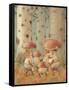 Mushrooms, 2005-Kestutis Kasparavicius-Framed Stretched Canvas