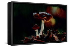 Mushrooms, 2021, (digital)-Scott J. Davis-Framed Stretched Canvas