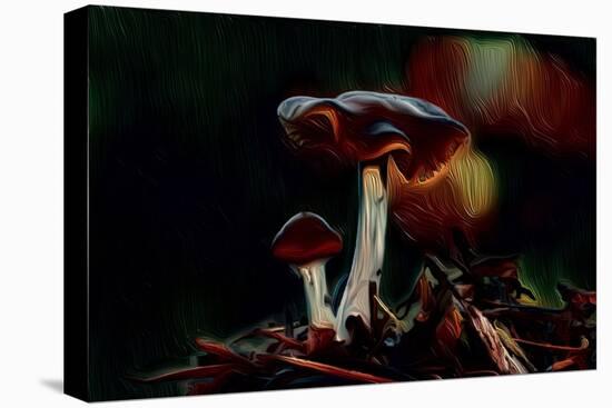 Mushrooms, 2021, (digital)-Scott J. Davis-Stretched Canvas