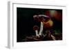 Mushrooms, 2021, (digital)-Scott J. Davis-Framed Giclee Print