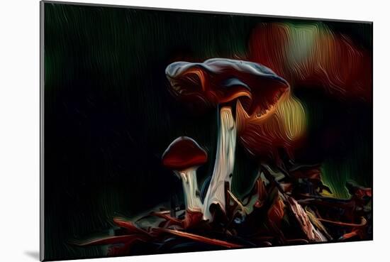 Mushrooms, 2021, (digital)-Scott J. Davis-Mounted Giclee Print