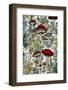 Mushrooms 2-Justyna Jaszke-Framed Photographic Print