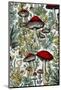 Mushrooms 2-Justyna Jaszke-Mounted Photographic Print