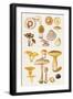 Mushrooms and Truffles-Elizabeth Rice-Framed Premium Giclee Print